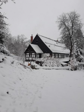 Гостиница Agroturystyka Łysa Góra  Дзивижув